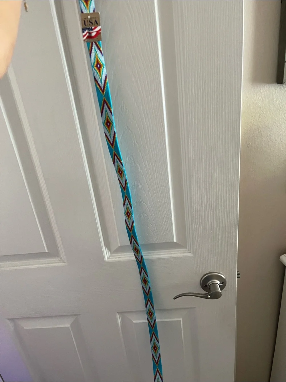 Bison turquoise beaded